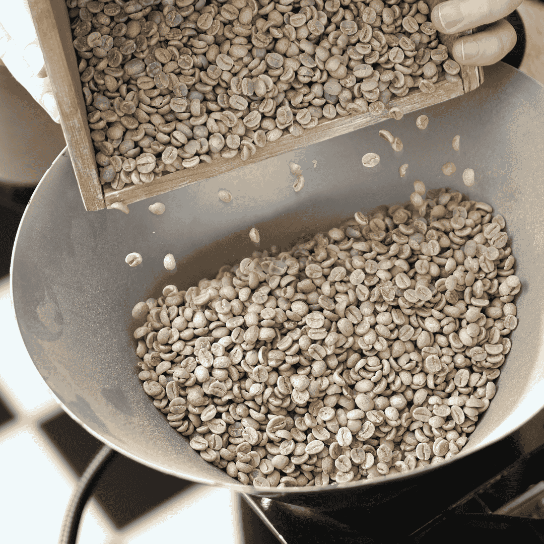 淺中焙|哥斯大黎加 米拉蘇莊園 塔拉珠 葡萄乾蜜處理 Costa Rica Mirazu D'cafetal Catajo Raisin Honey:圖片 4